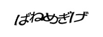 Authentication image